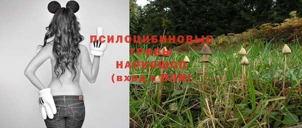 MDMA Premium VHQ Дмитриев